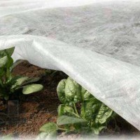 Повышение урожайности сельхозкультур – применение спанбонда