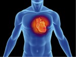 Внезапная сердечная смерть — найден новый метод диагностики