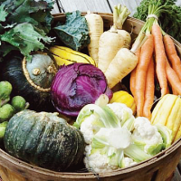 Что сажать осенью – овощи и зелень для подзимнего посева