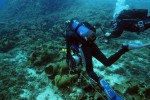В Черном море обнаружена жизнь на глубине 1960 метров