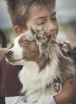 Стресс у собак – преодоление с помощью метода TTouch