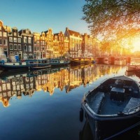 На какие вакансии реально устроиться в Голландии?