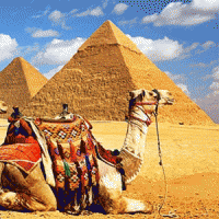 Отдых в Египте и самые классные развлечения в стране верблюдов