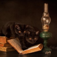 Кошки писателей мировой литературы