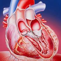 Реабилитация после инфаркта – шанс для сердца