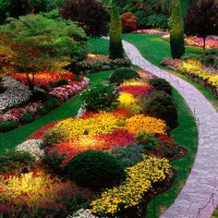 Садовые цветы — рекомендации по выращиванию