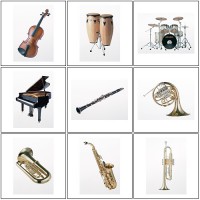 Как выбрать свой музыкальный инструмент