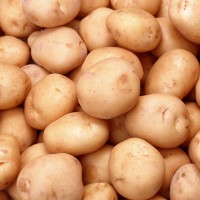 Хранение картофеля зимой — полезные советы