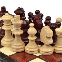Как научиться хорошо играть в шахматы – инструкции и советы