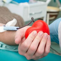 Польза и вред сдачи крови — мифы и реальность
