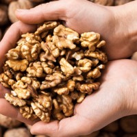Польза грецких орехов – как их правильно употреблять