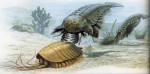 Древние животные погибли из-за эволюции