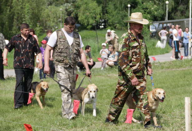 В Барнауле прошла выставка охотничьих собак