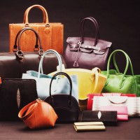 Женские сумки и кошельки – полезные рекомендации по выбору