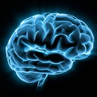 Работа мозга – 10 идей по увеличению скорости мышления