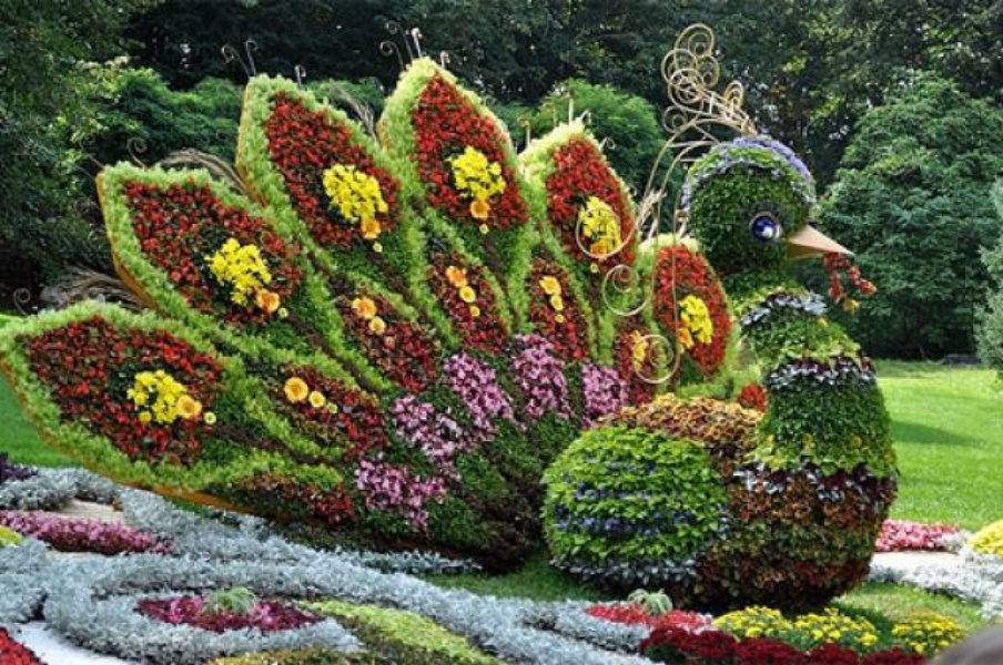 В Киеве прошла 59-я ежегодная выставка цветов «Единая Украина»