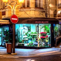 Круглосуточные цветочные магазины — ночные стражи любви