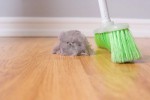 Чем опасна для здоровья домашняя пыль
