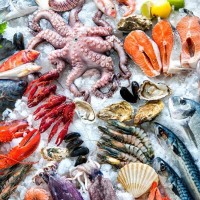 Польза и вред морепродуктов