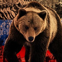 Русский медведь — могучий символ сильной страны