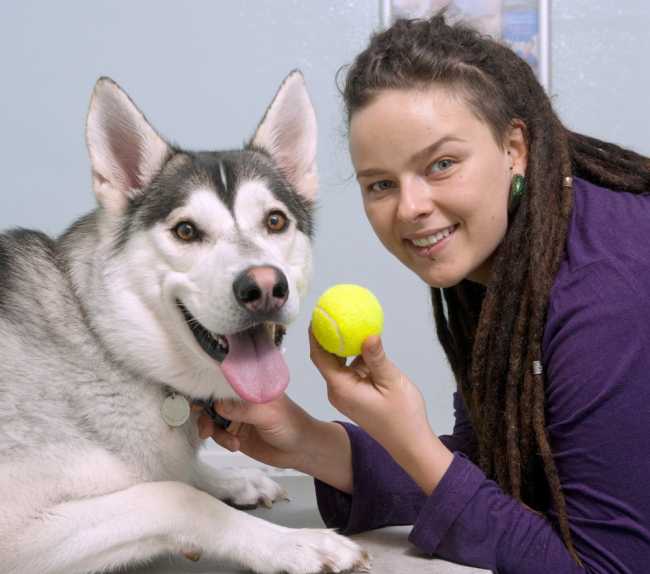 Игра с теннисным мячом едва не стоила собаке жизни