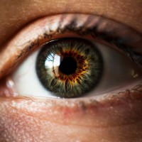 Зрение человека: 10 распространенных заблуждений