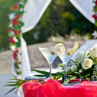 Как выбрать свадебную компанию