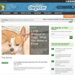 'Dogster' - социальная сеть