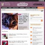 'Catster' - социальная сеть