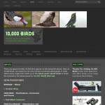 10000 видов птиц