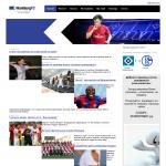 'Hamburgsv.net' - фан-сайн футбольной команды
