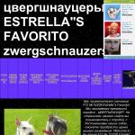 'Estrella''s Favorito' - питомник собак