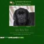'Labrador Retriver Kennel Primaluce' - питомник собак