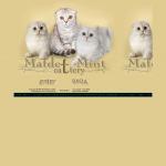 'Mafdet Mint' - питомник кошек