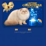 'GrandStar' - питомник кошек
