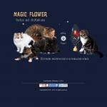 'Magic Flower' - питомник кошек
