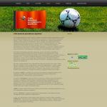 'Rufootball.net'- сайт фанатов российского футбола