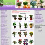 'Цветник' - интернет-магазин цветов и комнатных растений