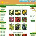 'SolnSad.ru' - интернет-магазин семян