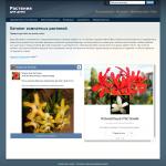 'Растения для дома' - интернет-магазин комнатных растений