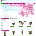 'Виктория' - интернет-магазин комнатных цветов