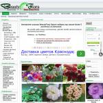 'Цветы почтой России' - интернет-магазин цветов
