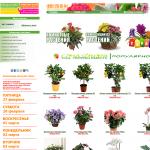 'СэндФлора' - интернет-магазин цветов