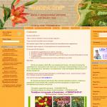 'Флора СПб' - интернет-магазин комнатных растений
