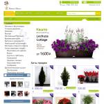 'Flower4house' - интернет-магазин цветов