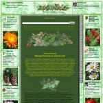 'Belena.biz' - энциклопедия лекарственных растений