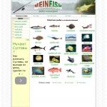 Мeinfish - рыба и виды рыб
