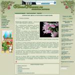 Homeflowers - Комнатные растения