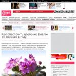 Как обеспечить цветение фиалок 10 месяцев в году