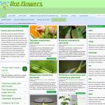 Pot-flovers — уход за цветами